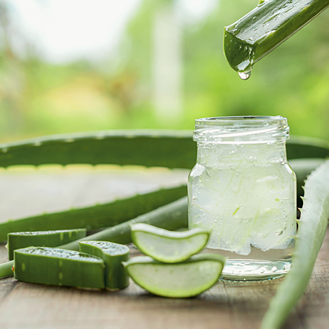 Naturents Sağlık Kaynakları Aloe Vera